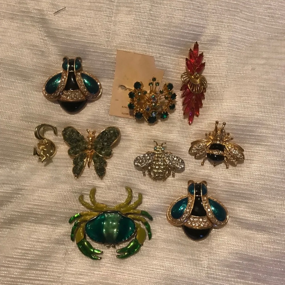 Brooch variety
